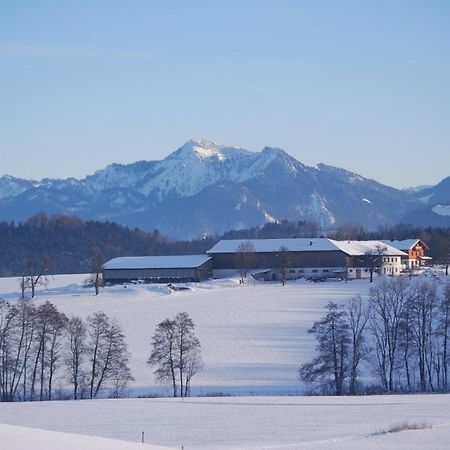 RiederingAuf'M Reifnhof别墅 外观 照片