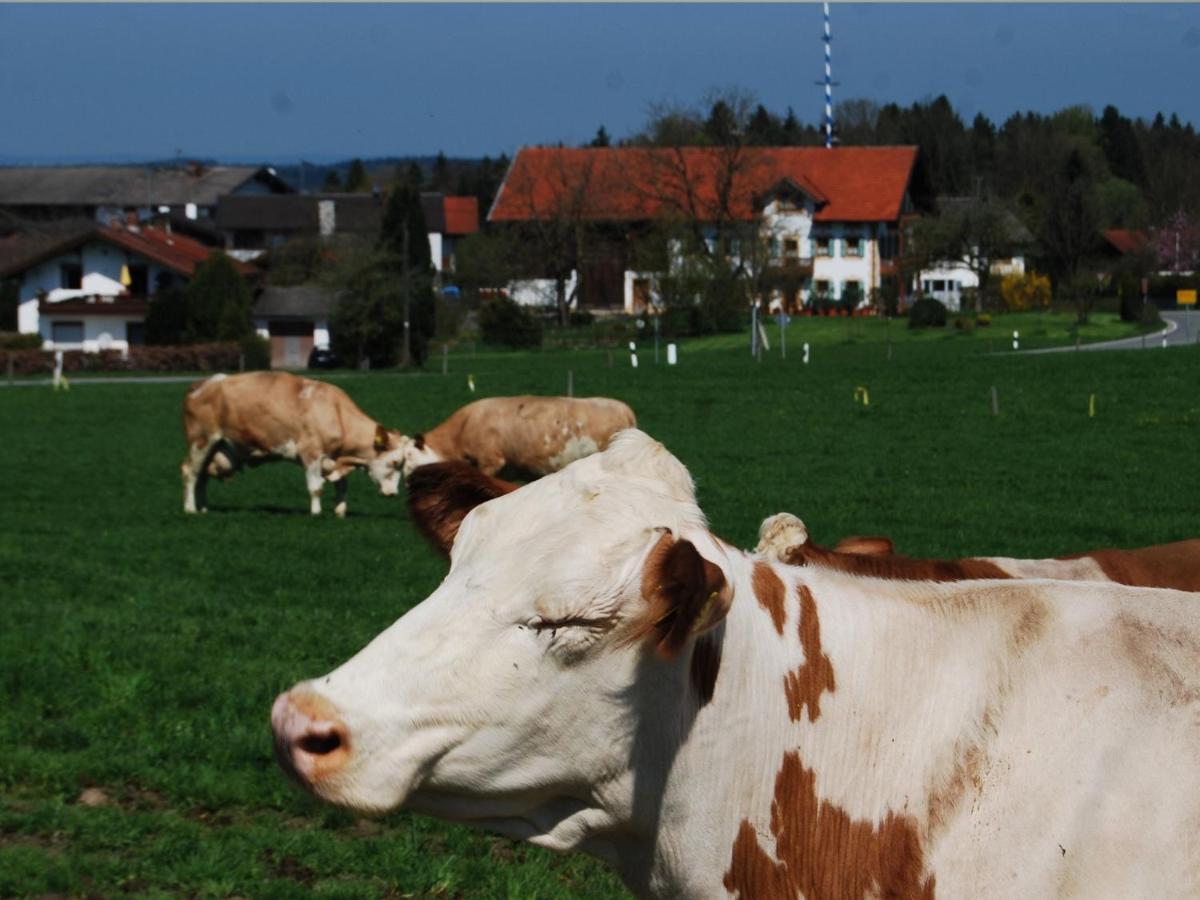 RiederingAuf'M Reifnhof别墅 外观 照片