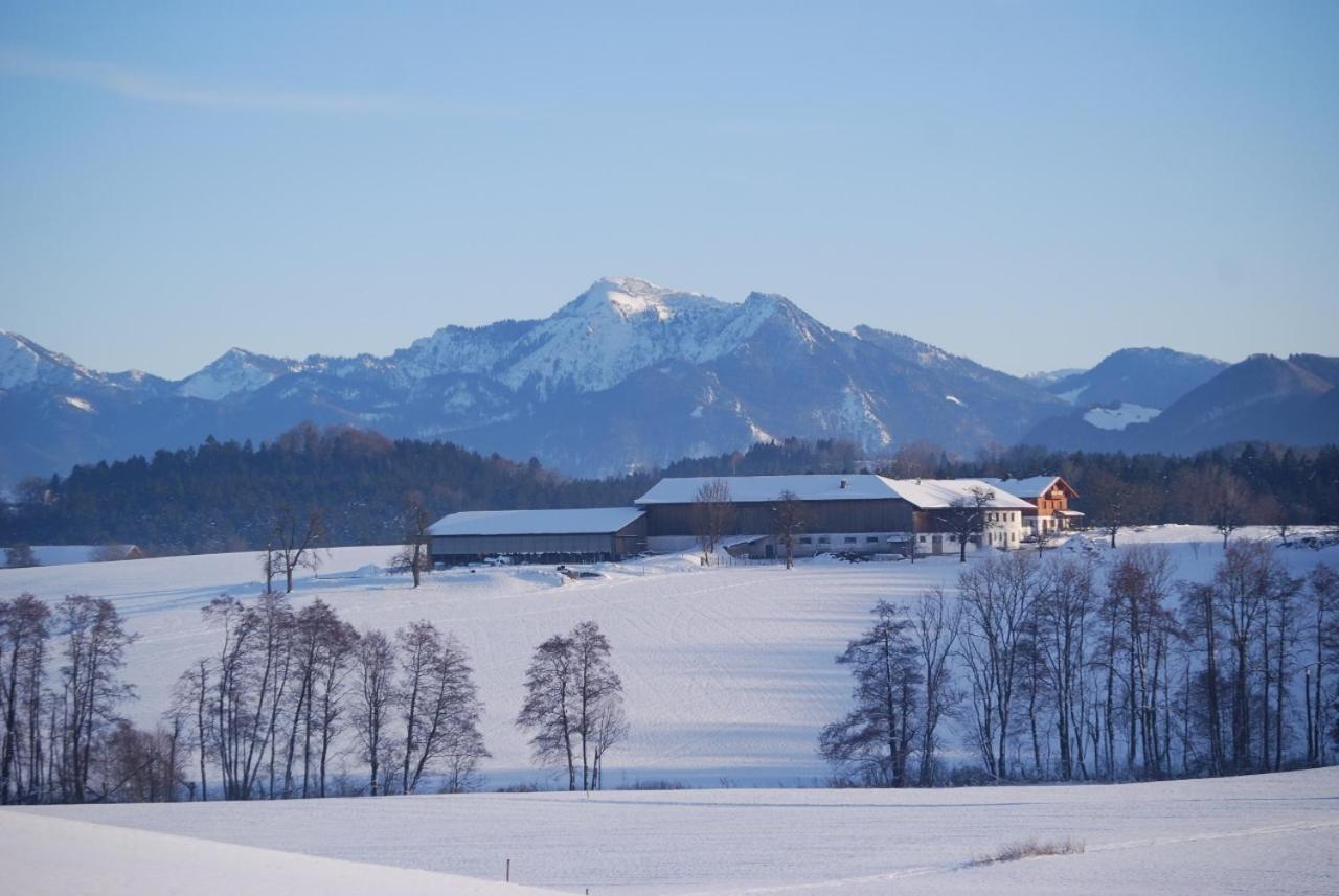 RiederingAuf'M Reifnhof别墅 外观 照片